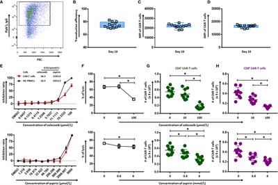 Dual Effects of Cyclooxygenase Inhibitors in Combination With CD19.CAR-T Cell Immunotherapy